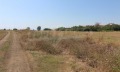 Продава ПАРЦЕЛ, гр. Ахелой, област Бургас, снимка 4