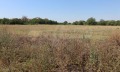 Продава ПАРЦЕЛ, област Бургас, гр. Ахелой • 270000 € / 528074.10 лв. • 85518628 6