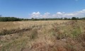 Продава ПАРЦЕЛ, област Бургас, гр. Ахелой • 270000 € / 528074.10 лв. • 85518628 3