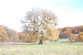 ������� ��������� �������� | Imot.bg � ����� ������ 3