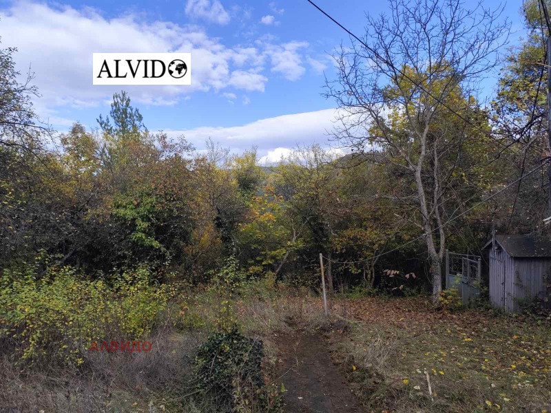 Продава КЪЩА, с. Реброво, област София област, снимка 5 - Къщи - 52525893