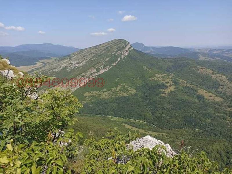 Продава ПАРЦЕЛ, с. Чупрене, област Видин, снимка 2 - Парцели - 52786565