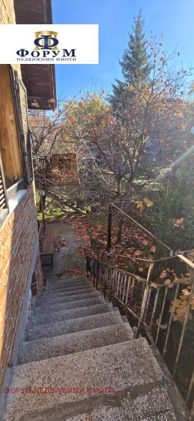 ����� ������� ����,�. �������, ������ �������