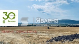 ������ ������� ������