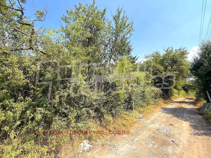 À venda  Trama Sofia , Liulin 6 , 3275 m² | 51762627 - imagem [12]