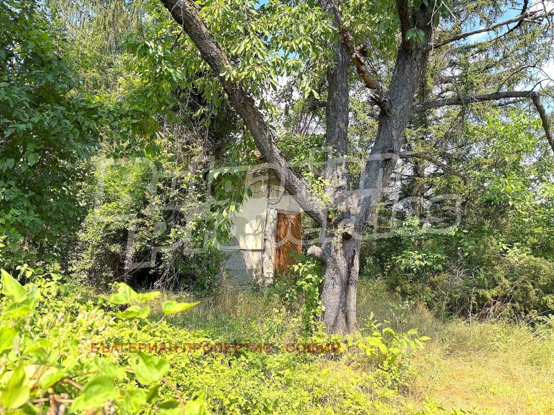 À venda  Trama Sofia , Liulin 6 , 3275 m² | 51762627 - imagem [3]