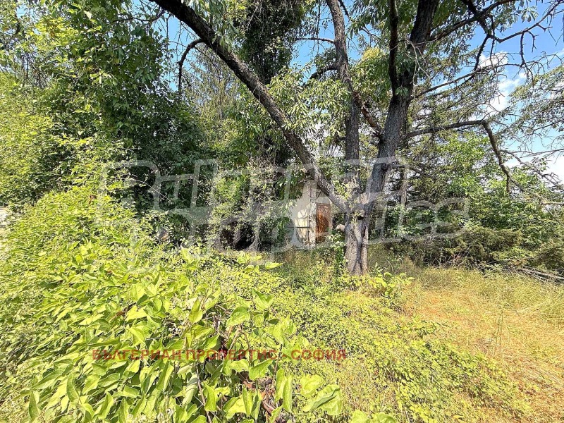 À venda  Trama Sofia , Liulin 6 , 3275 m² | 51762627 - imagem [10]