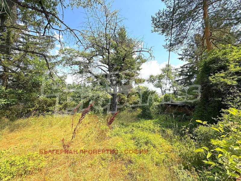 À venda  Trama Sofia , Liulin 6 , 3275 m² | 51762627 - imagem [16]