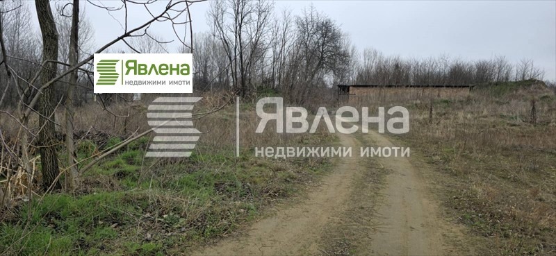 Продава ПАРЦЕЛ, с. Новоселци, област Видин, снимка 4 - Парцели - 52980392