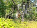 Продава ПАРЦЕЛ, град София, Люлин 6 • 495000 € / 968135.85 лв. • 43156130 15