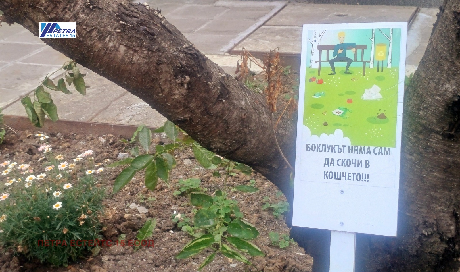 ������� 3-����� | Imot.bg � ����������� 16