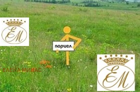 ����� ������� ������,�. ���� ��������, ������ �����