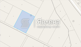 ����� ������� ������,�. �������, ������ ������