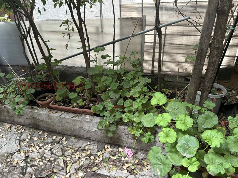 Продава  3-стаен град Варна , Център , 72 кв.м | 20521511 - изображение [3]