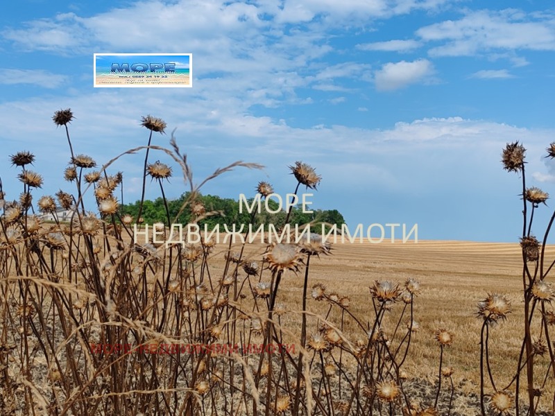 Продава  Парцел град Бургас , Крайморие , 2340 кв.м | 42328290 - изображение [5]