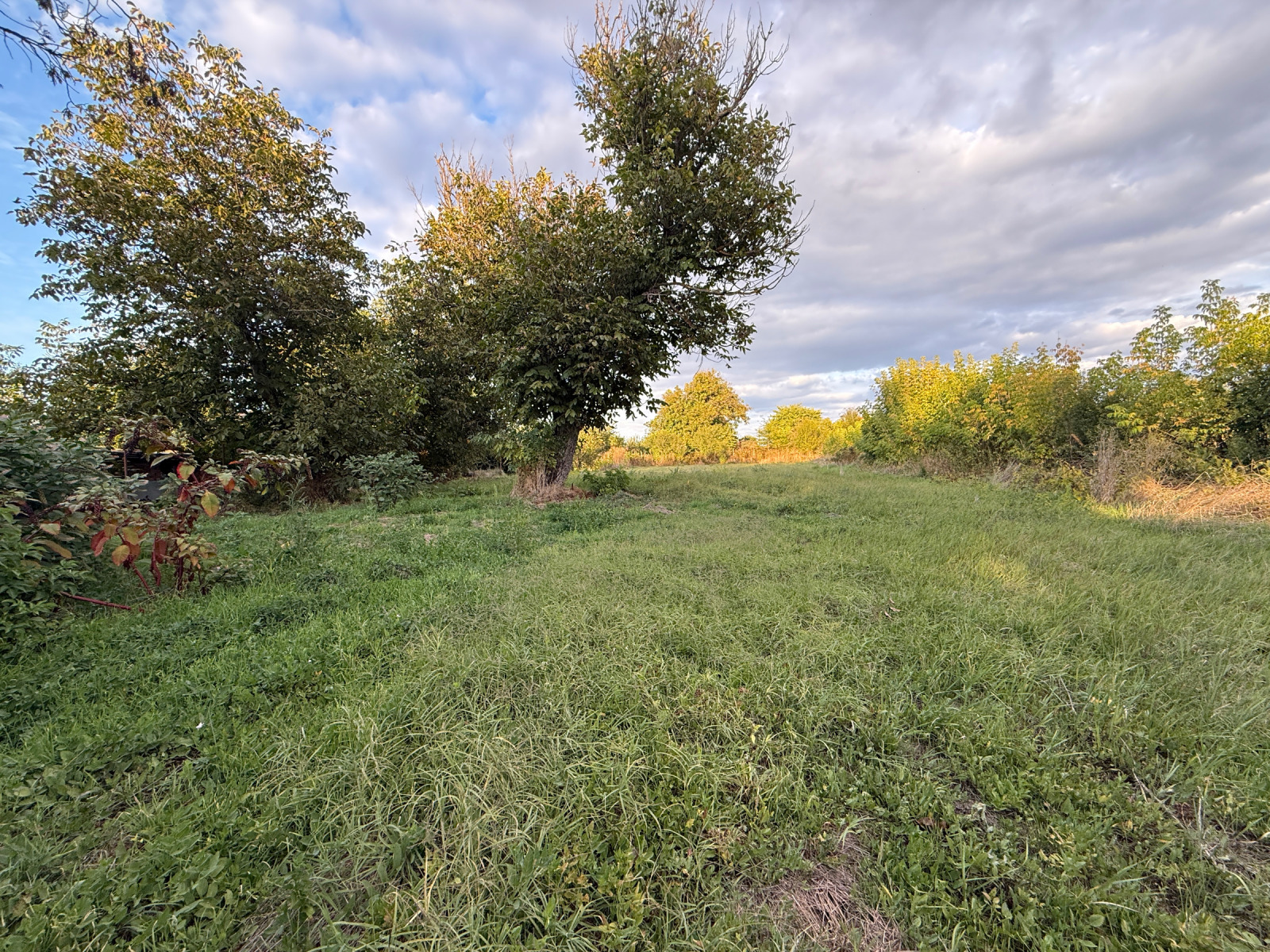 Продава ПАРЦЕЛ, с. Червена вода, област Русе