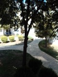 Продава 3-СТАЕН, област Бургас, к.к. Слънчев бряг • 84000 € • 42716760 — Holmes.bg