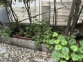 Продава 3-СТАЕН, град Варна, Център • 144000 € / 281639.52 лв. • 42212702 3