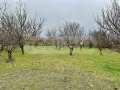 Продава КЪЩА, област Добрич, с. Преспа • 27500 € • 55848131 — Holmes.bg