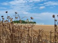 Продава ПАРЦЕЛ, град Бургас, Крайморие • 265000 € • 56983946 — Holmes.bg
