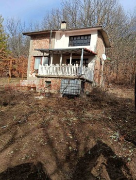 ����� ������� ����,�. ������, ������ �����