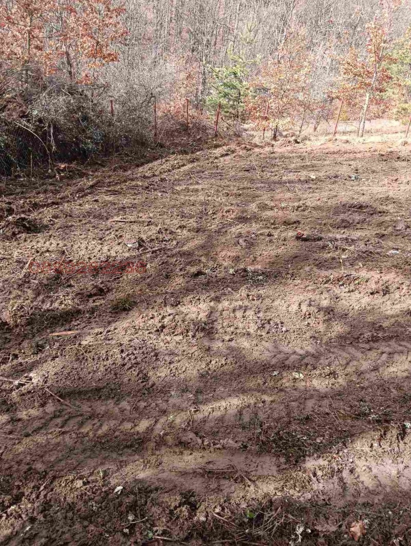 Продава КЪЩА, с. Дръмша, област София област, снимка 4 - Къщи - 53259938