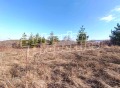Продава ПАРЦЕЛ, с. Извор, област Пловдив, снимка 5