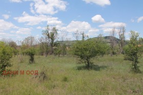 ������� ������ | Imot.bg � ����� ������ 12