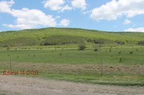 ������� ������ | Imot.bg � ����� ������ 8