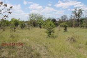 ������� ������ | Imot.bg � ����� ������ 11