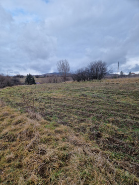 ����� ������� ������,�. �������, ������ �����