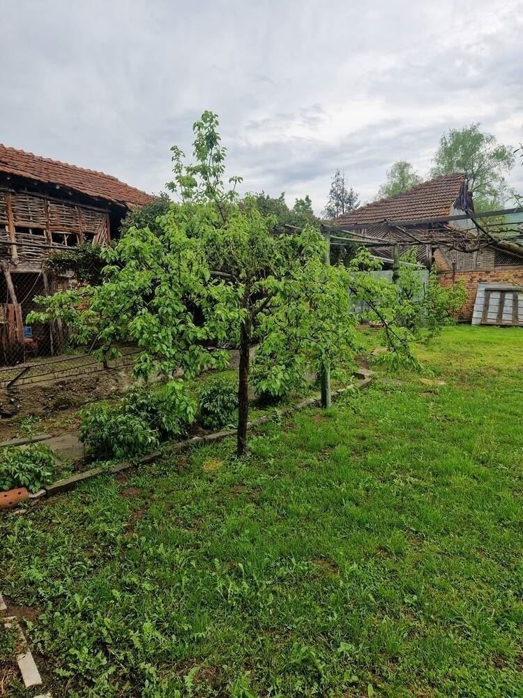 Продава КЪЩА, с. Разлив, област София област, снимка 6 - Къщи - 54330394