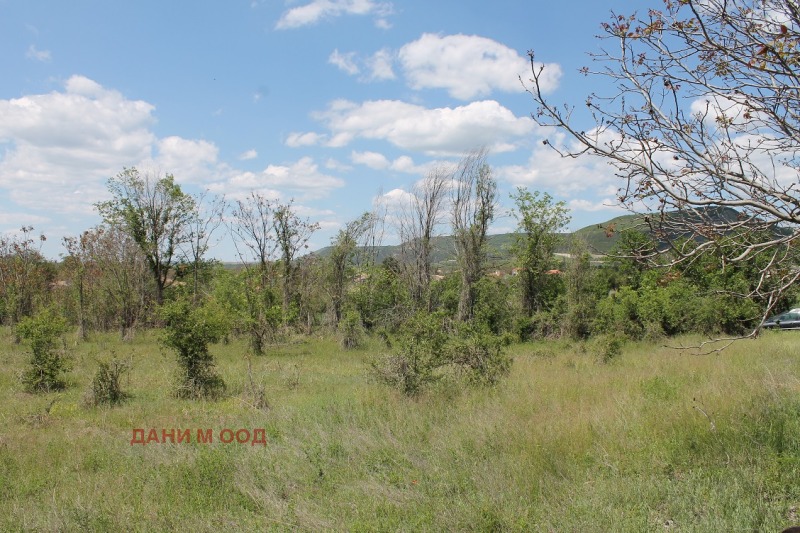 Продава ПАРЦЕЛ, с. Стан, област Шумен, снимка 5 - Парцели - 53178121