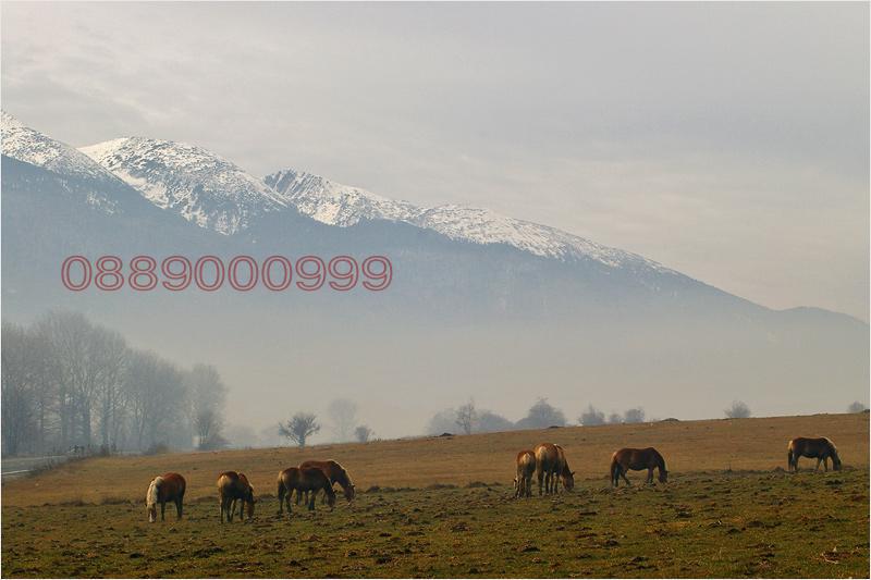 ������� ������ | Imot.bg � ����������� 2