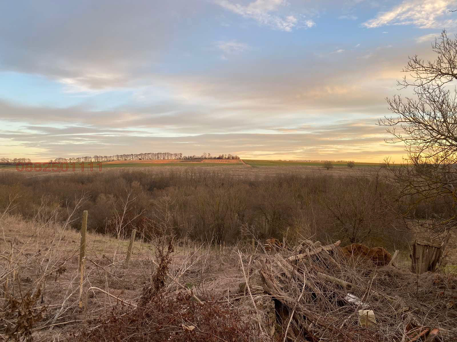 Продава КЪЩА, с. Житен, област Добрич, снимка 5 - Къщи - 54105564