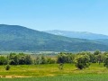 Продава ПАРЦЕЛ, с. Рельово, област София област, снимка 5