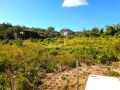 Продава КЪЩА, област Ловеч, с. Пресяка • 49900 € / 97595.92 лв. • 11389359 7