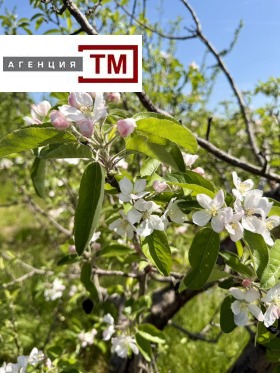 ������� ���� | Imot.bg � ����� ������ 8