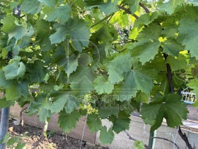������� ���� | Imot.bg � ����� ������ 10