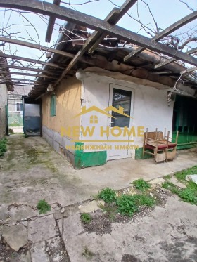 ����� ������� ������,���� ������, ��������