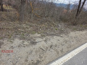 ����� ������� ���������� ����,�. �������, ������ ���������