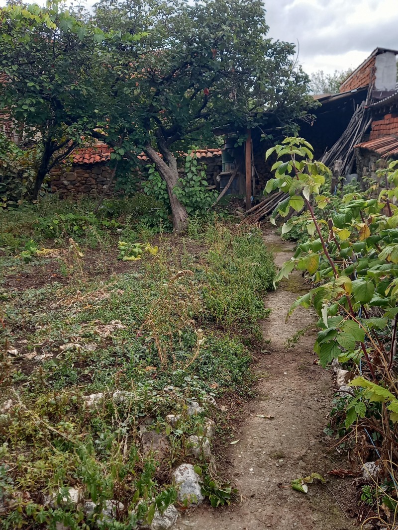 Продава ВИЛА, с. Мирково, област София област, снимка 16 - Вили - 52261091