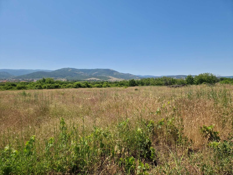 En venta  Trama Plovdiv , Kuklensko shose , 1000 metros cuadrados | 36972261 - imagen [2]