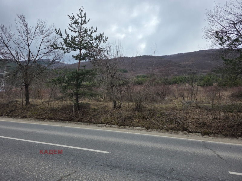 Продава ЗЕМЕДЕЛСКА ЗЕМЯ, с. Гюешево, област Кюстендил, снимка 3 - Земеделска земя - 53476494