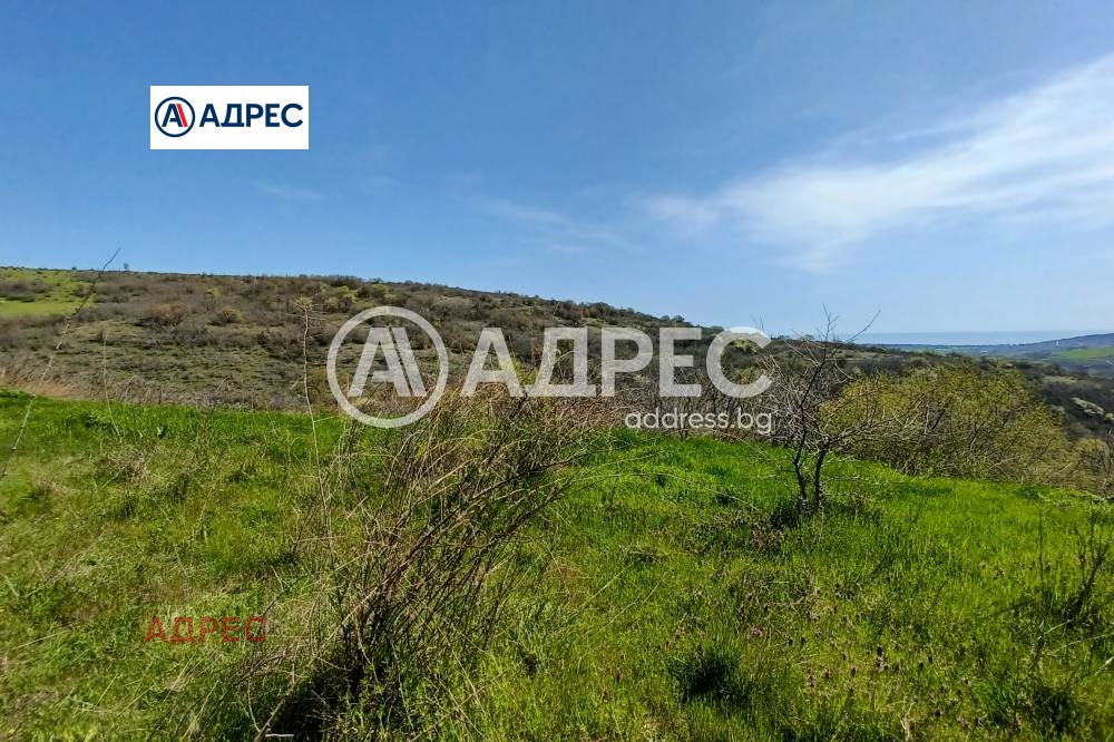 Продава ПАРЦЕЛ, с. Генерал Кантарджиево, област Варна, снимка 4 - Парцели - 54643822