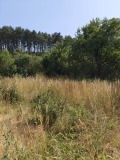 Продава КЪЩА, област Перник, гр. Батановци • 35800 € • 36469413 — Holmes.bg