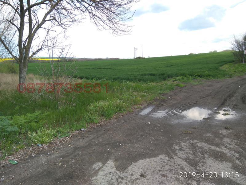 Продава ПАРЦЕЛ, гр. Елхово, област Ямбол, снимка 5 - Парцели - 53229585