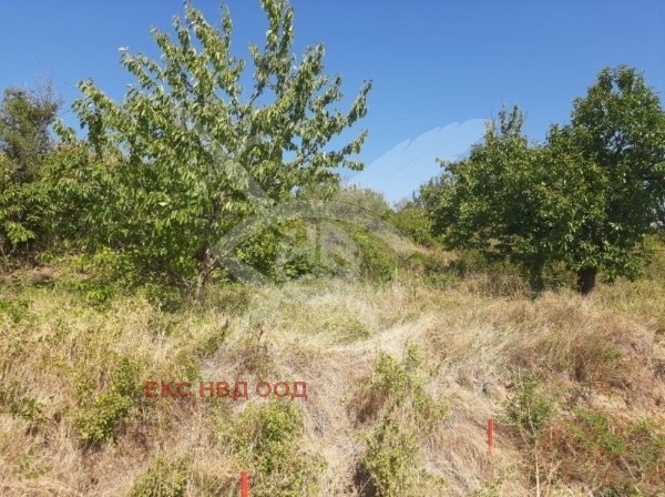 ������� ������ | Imot.bg � ����������� 1