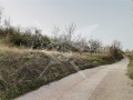 Продава ПАРЦЕЛ, с. Руен, област Пловдив, снимка 3
