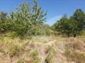 Продава ПАРЦЕЛ, с. Руен, област Пловдив, снимка 1